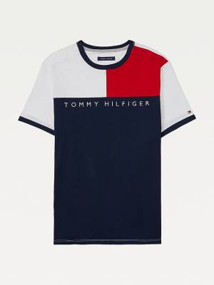 Tommy Hilfiger Adaptive Flag Pure Pamuklu Tişört Erkek Multi | TH879IVP