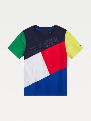 Tommy Hilfiger Adaptive Seated Fit Long Sleeve Tişört Erkek Çocuk Multi | TH349SEB