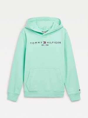 Tommy Hilfiger Essential Logo Kapüşonlu Sweatshirt Kiz Çocuk Yeşil | TH190HKI