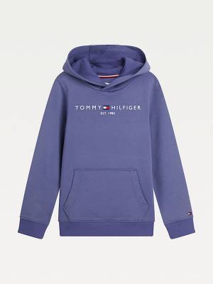 Tommy Hilfiger Essential Logo Kapüşonlu Sweatshirt Kiz Çocuk Mavi | TH541FGJ