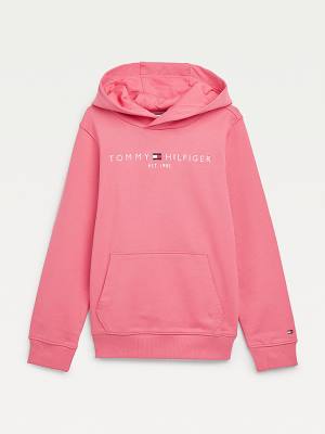 Tommy Hilfiger Essential Logo Kapüşonlu Sweatshirt Erkek Çocuk Kırmızı | TH902YFJ