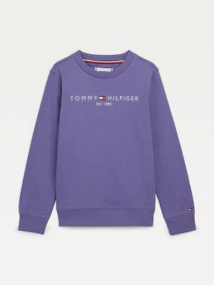 Tommy Hilfiger Essential Logo Sweatshirt Erkek Çocuk Mavi | TH253XPT