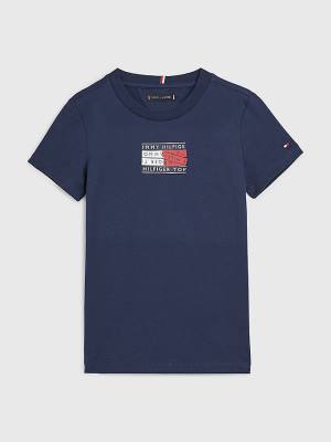 Tommy Hilfiger Flag Logo Tişört Erkek Çocuk Mavi | TH491KNM