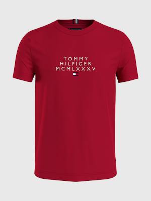 Tommy Hilfiger Graphic Logo Tişört Erkek Kırmızı | TH583UWC