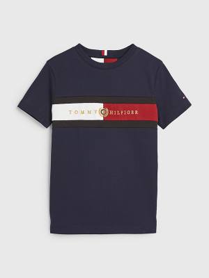 Tommy Hilfiger Icons Organic Pamuklu Logo Tişört Erkek Çocuk Mavi | TH398HIZ