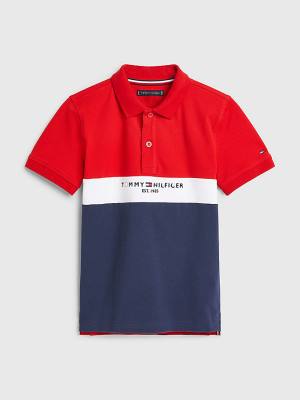 Tommy Hilfiger Logo Colour-Blocked Polo Tişört Erkek Çocuk Mavi | TH736ONX