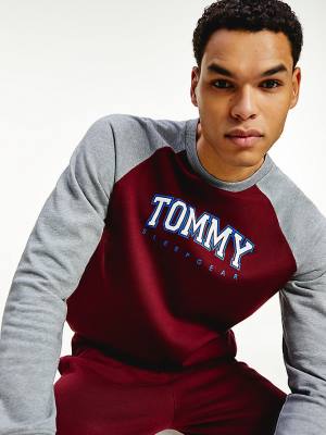 Tommy Hilfiger Lounge Colour-Blocked Organic Pamuklu Sweatshirt Pijama Erkek Mor | TH397EHI