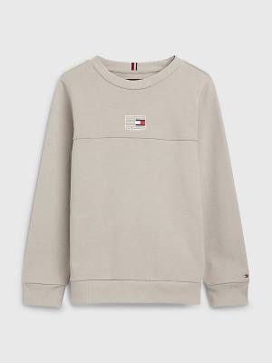 Tommy Hilfiger Natural Earth Dye Sweatshirt Erkek Çocuk Gri | TH853DBV