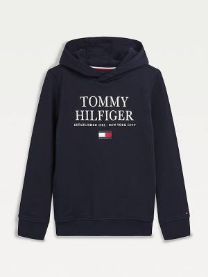 Tommy Hilfiger Organic Pamuklu Logo Kapüşonlu Sweatshirt Erkek Çocuk Mavi | TH507MJF