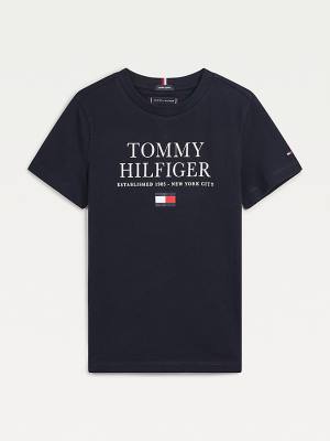 Tommy Hilfiger Organic Pamuklu Logo Tişört Erkek Çocuk Mavi | TH285CLO