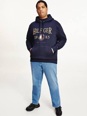 Tommy Hilfiger Plus Icons Logo Embroidery Relaxed Fit Kapüşonlu Sweatshirt Erkek Mavi | TH278DFT