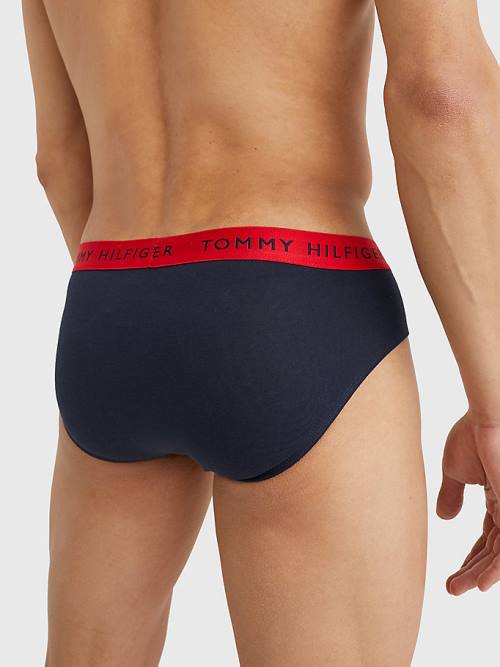 Tommy Hilfiger 3-Pack Logo Waistband Briefs İç Giyim Erkek Mor | TH102UQH