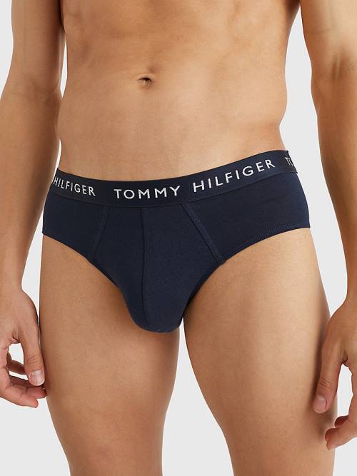 Tommy Hilfiger 3-Pack Logo Waistband Briefs İç Giyim Erkek Mor | TH102UQH