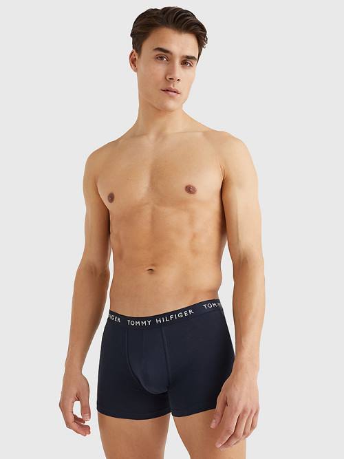 Tommy Hilfiger 3-Pack Repeat Logo Trunks İç Giyim Erkek Mor | TH051AUL