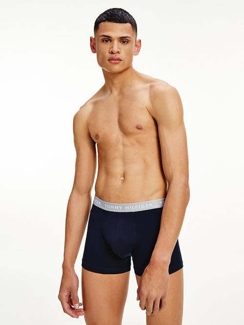 Tommy Hilfiger 3-Pack Repeat Logo Trunks İç Giyim Erkek Kahverengi | TH291PFM