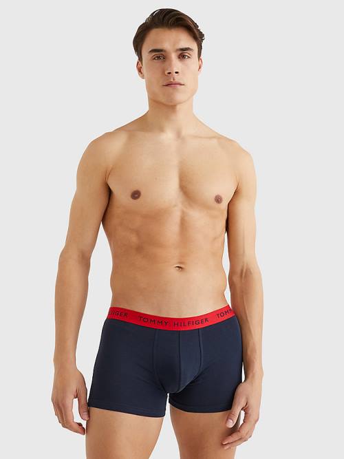 Tommy Hilfiger 3-Pack Repeat Logo Trunks İç Giyim Erkek Mor | TH325XHL