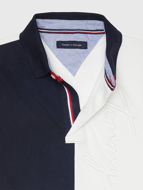 Tommy Hilfiger Adaptive Colour-Blocked Slim Fit Polo Yaka Tişört Erkek Multi | TH937QGV