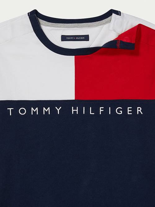 Tommy Hilfiger Adaptive Flag Pure Pamuklu Tişört Erkek Multi | TH879IVP