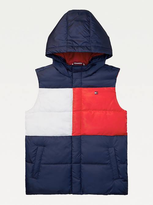 Tommy Hilfiger Adaptive Kukuletalı Flag Vest Ceket Erkek Çocuk Mavi | TH837JGA