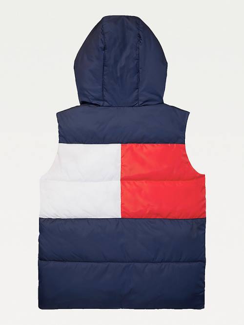 Tommy Hilfiger Adaptive Kukuletalı Flag Vest Ceket Erkek Çocuk Mavi | TH837JGA