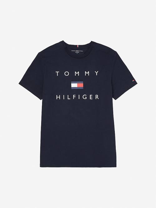 Tommy Hilfiger Adaptive Pure Pamuklu Logo Tişört Erkek Mavi | TH906VAI