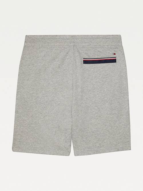 Tommy Hilfiger Adaptive Regular Fit Şort Erkek Gri | TH436TSK