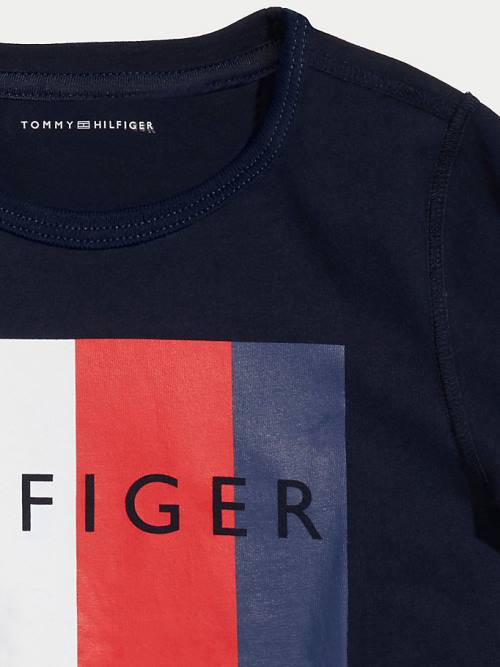 Tommy Hilfiger Adaptive Sensory Flag Logo Tişört Erkek Çocuk Mavi | TH357XTH