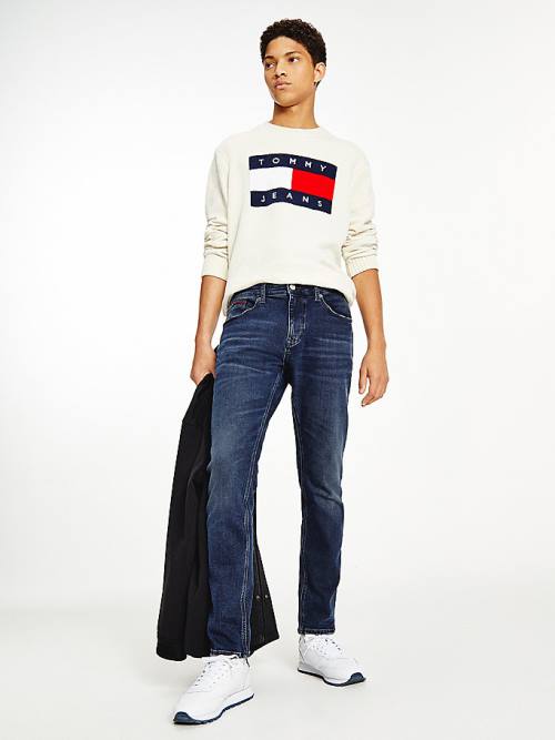 Tommy Hilfiger Austin Slim Tapered Jean Pantolon Erkek Denim | TH367HXV