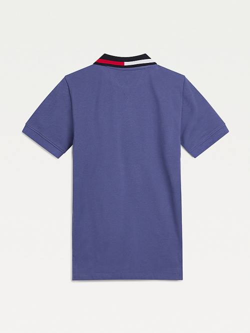 Tommy Hilfiger Colour-Blocked Logo Collar Polo Tişört Erkek Çocuk Mavi | TH065VRF