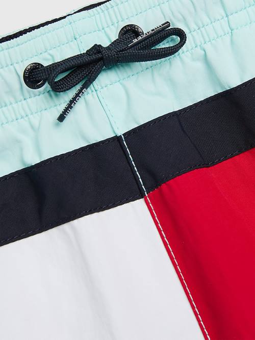 Tommy Hilfiger Colour-Blocked Mid Cut Cut Cut Length Shorts Mayo Erkek Çocuk Mavi | TH289EGM