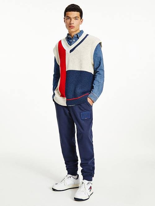 Tommy Hilfiger Colour-Blocked V-Neck Vest Sweatshirt Erkek Mavi | TH452RXO