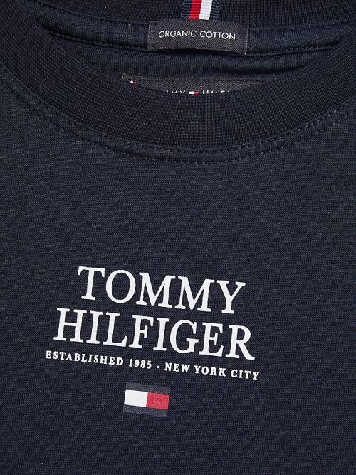 Tommy Hilfiger Contrast Tape Long Sleeve Tişört Erkek Çocuk Mavi | TH465XEB