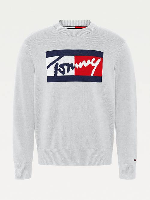 Tommy Hilfiger Crew Neck Relaxed Fit Jumper Kazak Erkek Gri | TH923APJ