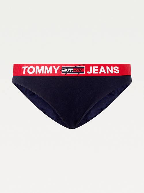 Tommy Hilfiger Curve Contrast Waistband Briefs İç Giyim Kadın Mavi | TH241YJT