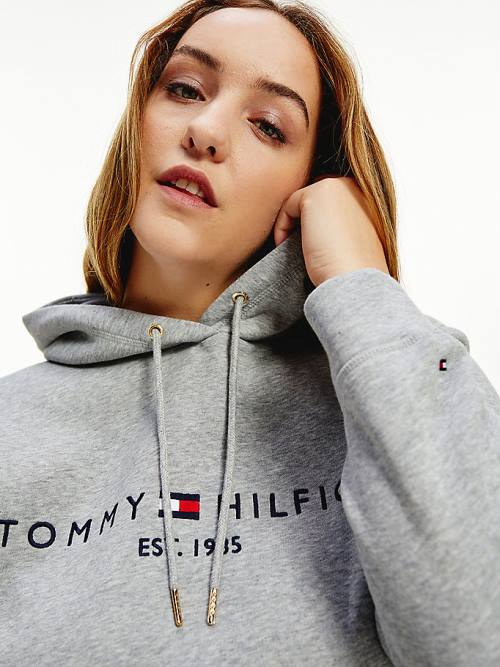 Tommy Hilfiger Curve Logo Drawstring Kapüşonlu Sweatshirt Kadın Gri | TH276DPU