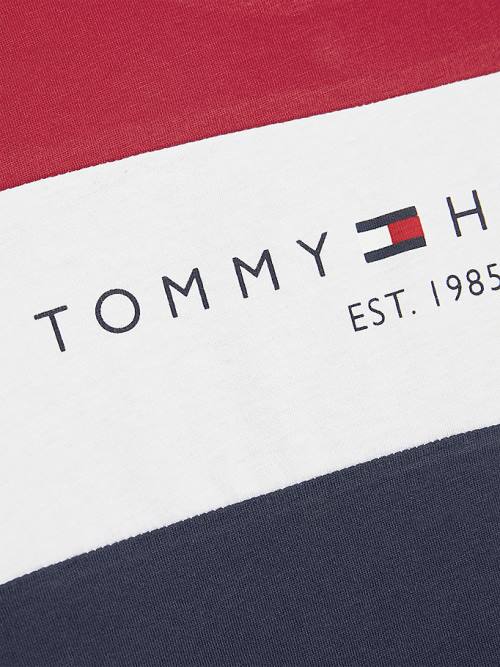 Tommy Hilfiger Essential Colour-Blocked Organic Pamuklu Tişört Erkek Çocuk Mavi | TH841FRX