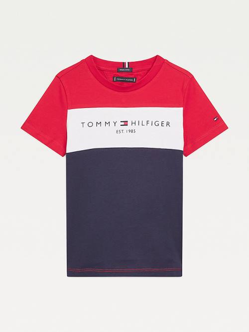 Tommy Hilfiger Essential Colour-Blocked Organic Pamuklu Tişört Erkek Çocuk Mavi | TH841FRX