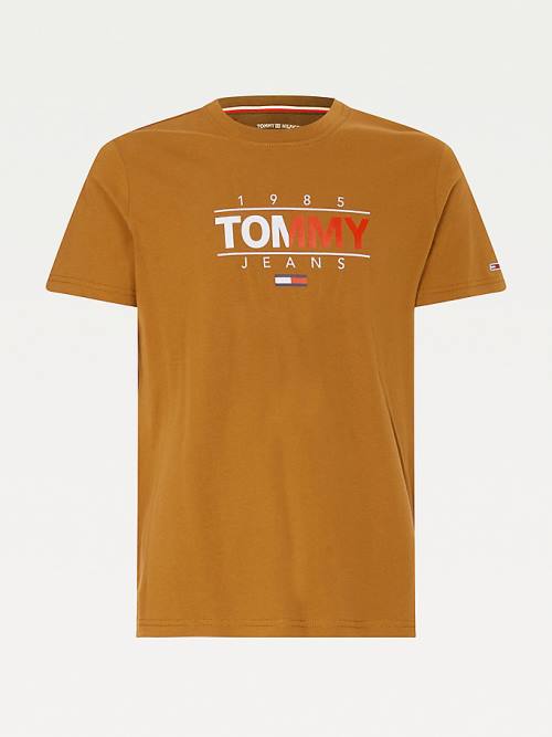 Tommy Hilfiger Essential Graphic Tişört Erkek Kahverengi | TH924XZJ