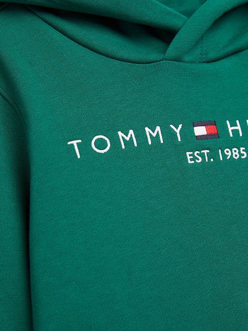 Tommy Hilfiger Essential Logo Kapüşonlu Sweatshirt Kiz Çocuk Yeşil | TH125SKO