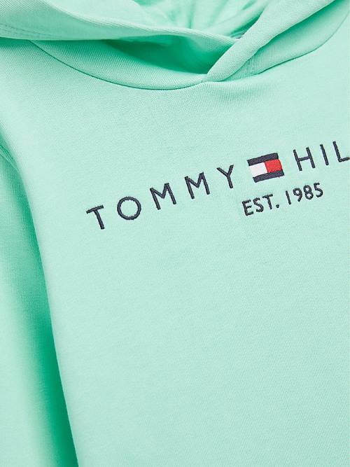 Tommy Hilfiger Essential Logo Kapüşonlu Sweatshirt Kiz Çocuk Yeşil | TH190HKI