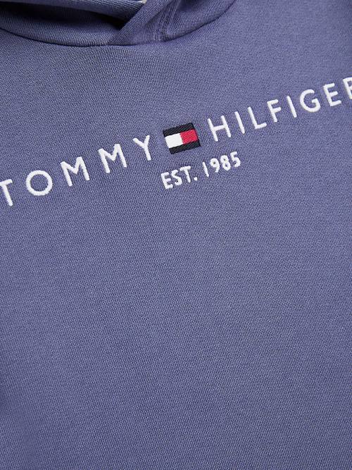 Tommy Hilfiger Essential Logo Kapüşonlu Sweatshirt Kiz Çocuk Mavi | TH541FGJ