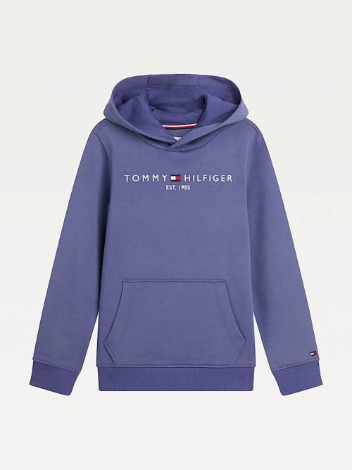 Tommy Hilfiger Essential Logo Kapüşonlu Sweatshirt Kiz Çocuk Mavi | TH541FGJ