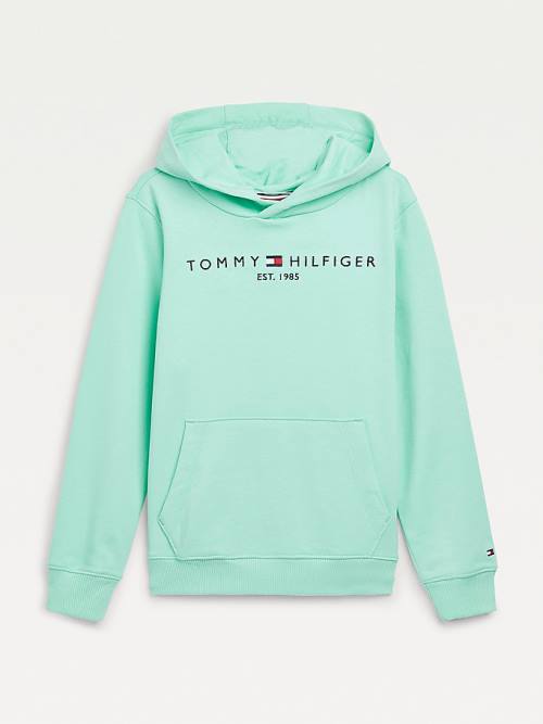 Tommy Hilfiger Essential Logo Kapüşonlu Sweatshirt Erkek Çocuk Yeşil | TH569QDP