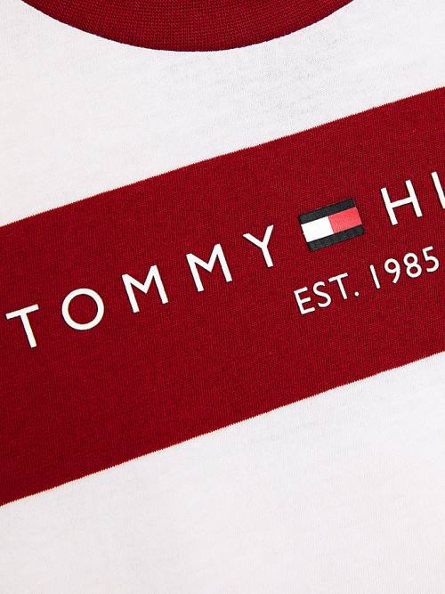 Tommy Hilfiger Essential Organic Pamuklu Stripe Tişört Erkek Çocuk Kırmızı | TH507DYB