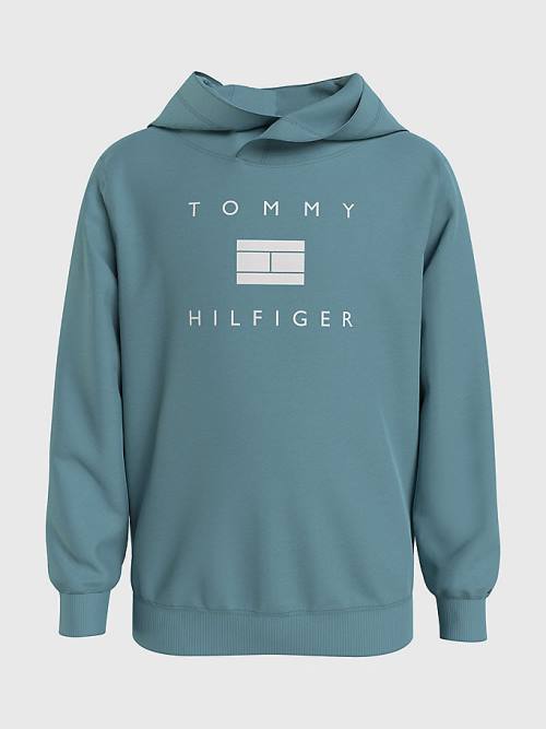 Tommy Hilfiger Flag Logo Kapüşonlu Sweatshirt Erkek Çocuk Mavi | TH127OIT