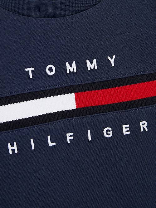 Tommy Hilfiger Flag Rib Insert Tişört Erkek Çocuk Mavi | TH106AOQ