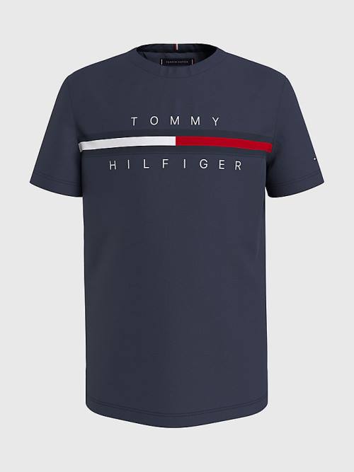 Tommy Hilfiger Flag Rib Insert Tişört Erkek Çocuk Mavi | TH106AOQ