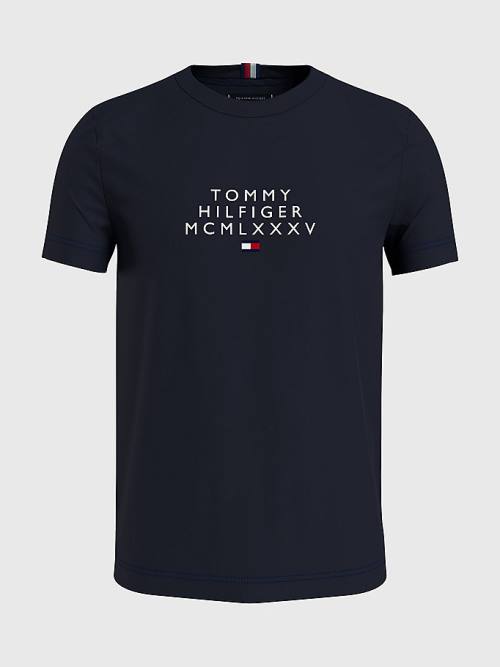 Tommy Hilfiger Graphic Logo Tişört Erkek Mavi | TH048PGS