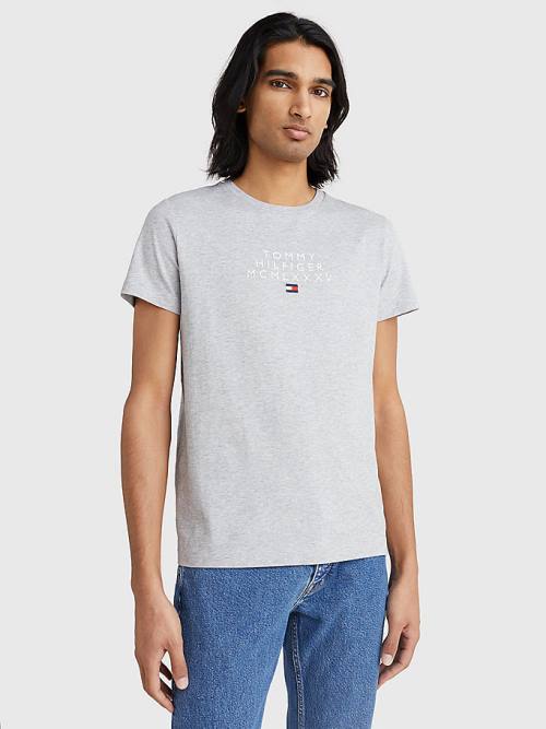 Tommy Hilfiger Graphic Logo Tişört Erkek Gri | TH431IGR