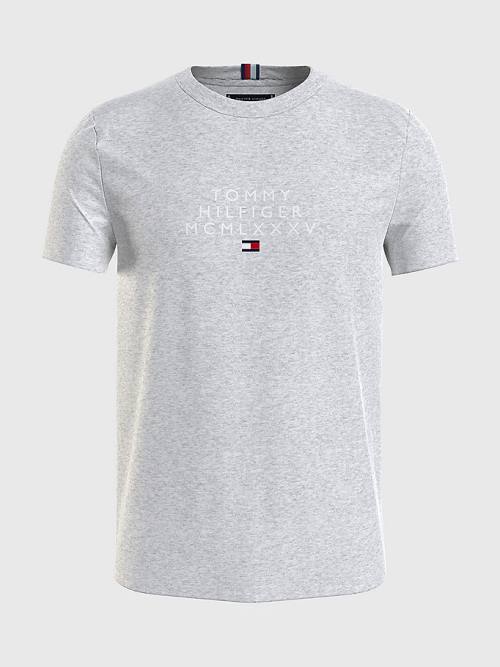 Tommy Hilfiger Graphic Logo Tişört Erkek Gri | TH431IGR